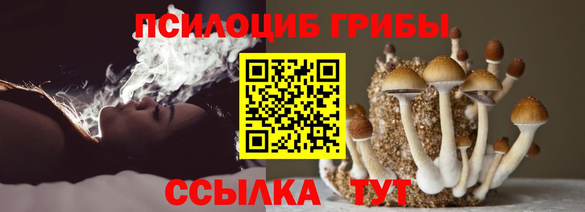 магазин    Галлюциногенные грибы Magic Shrooms  Вход с VPN  Киржач 